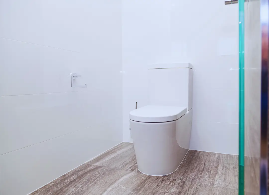 Remplacement de wc Bons-en-Chablais